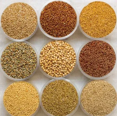 Millet Solutions