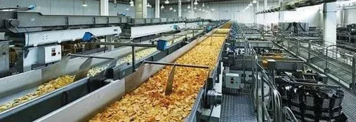 The Joymex Foods production line